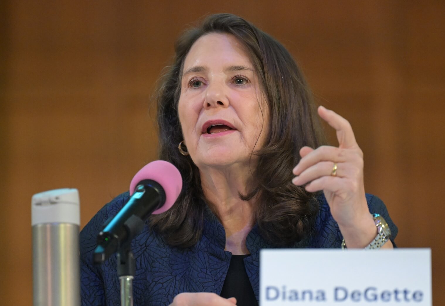 Diana DeGette at a panel, nameplate visible